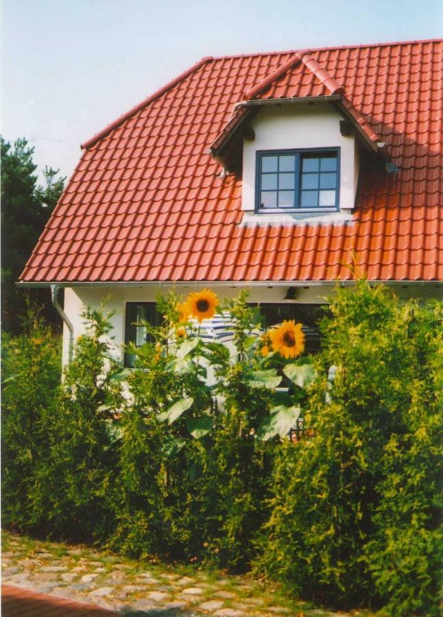 Lindenstr_32B Apartamento Zingst Exterior foto